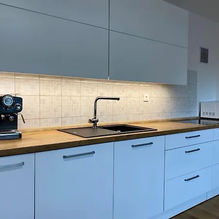 Apartment Spacious In A Quiet Neighbourhood + Private Parking Ljubljana